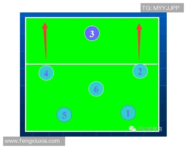 广州排球队引领最新排球战术十大趋势全面解析与展望