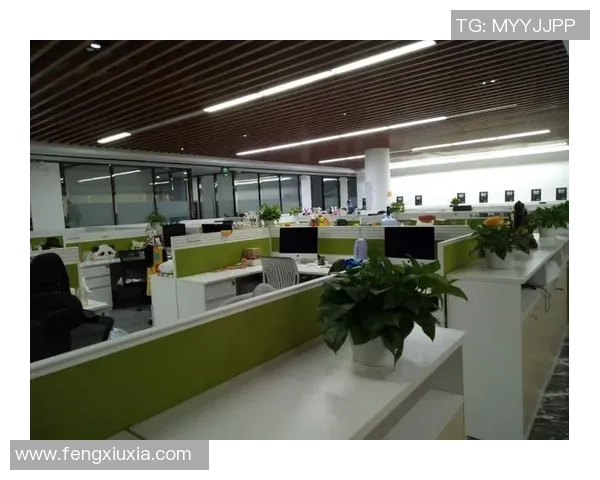 北京篮球队的运营策略与市场表现深度解析