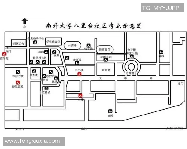 北京篮球队选拔赛耐力分析与表现评估全景观察