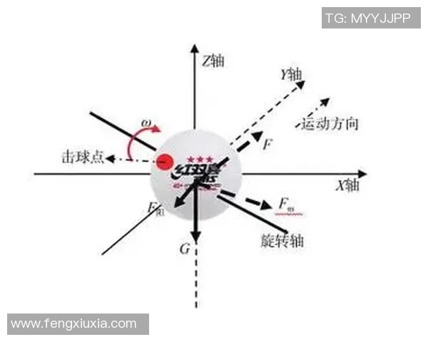 成都乒乓球队速度对比深度解析与战术探讨