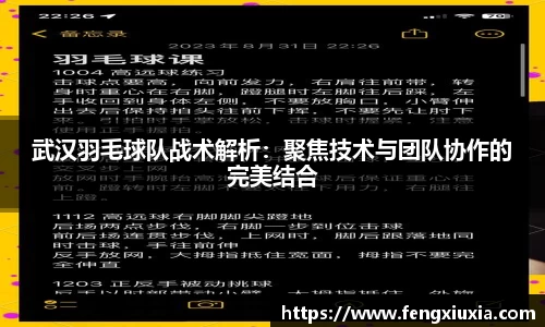 武汉羽毛球队战术解析：聚焦技术与团队协作的完美结合