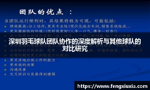 深圳羽毛球队团队协作的深度解析与其他球队的对比研究