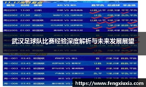武汉足球队比赛经验深度解析与未来发展展望