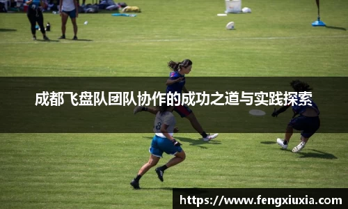 成都飞盘队团队协作的成功之道与实践探索
