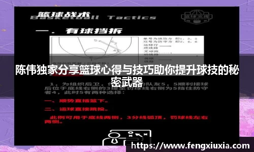 陈伟独家分享篮球心得与技巧助你提升球技的秘密武器