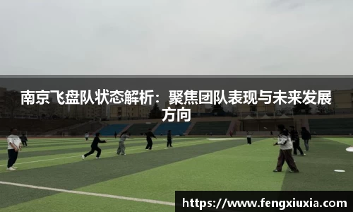 南京飞盘队状态解析：聚焦团队表现与未来发展方向